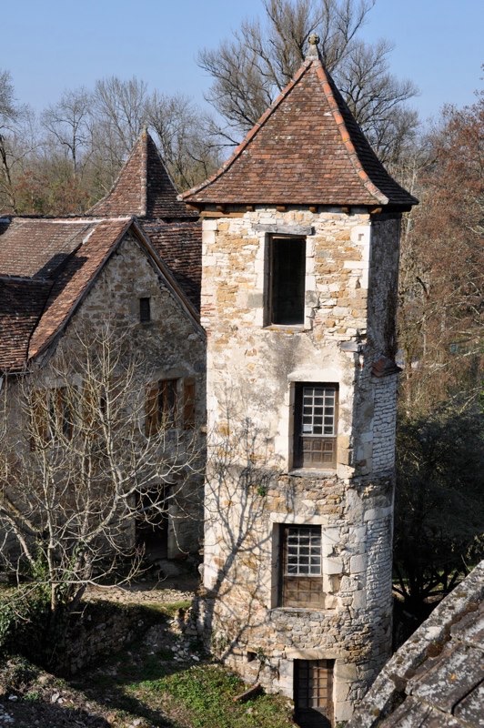 DSC_0123.jpg