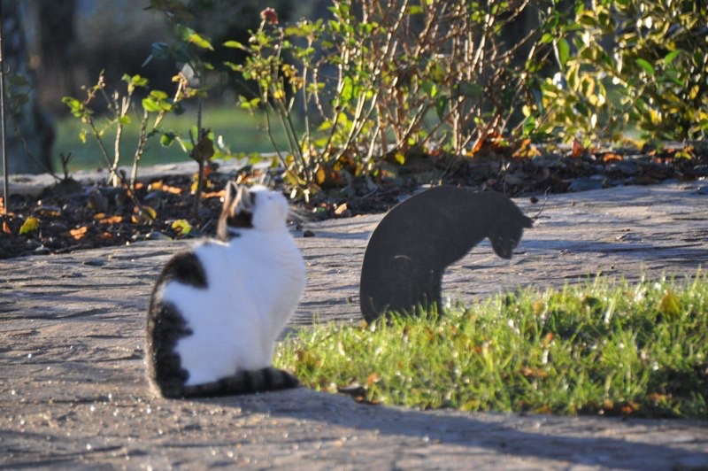 DSC_1693.jpg