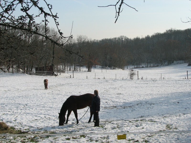 IMG_3776.jpg