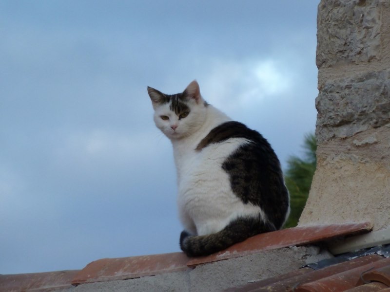 P1000048.jpg